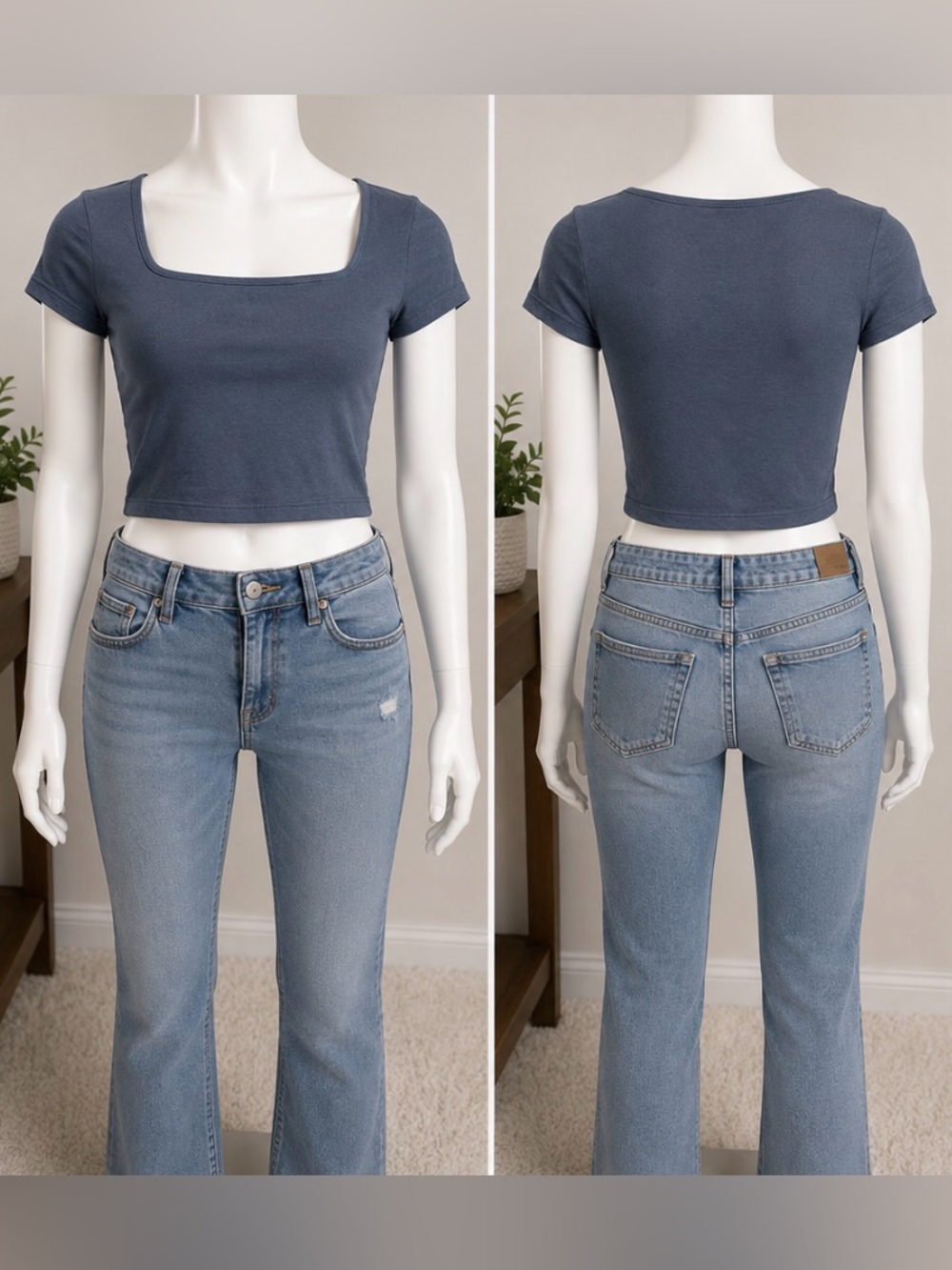 NWT Hollister cropped baby tee Size Small